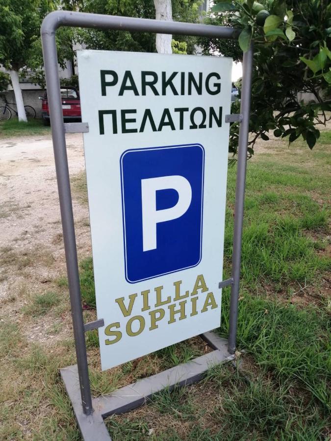 Villa Sophia Митикас Экстерьер фото